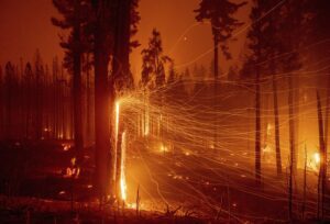 Embers fly from burning trees during the 2021 Caldor Fire in Calfornia.