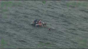 Hurricane Milton Evacuees Rescued In Tampa Bay After Private Plane Crash