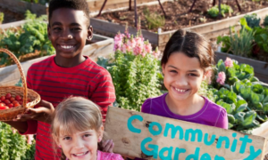 Community Underwriting unveils 2024 grant recipients driving community change