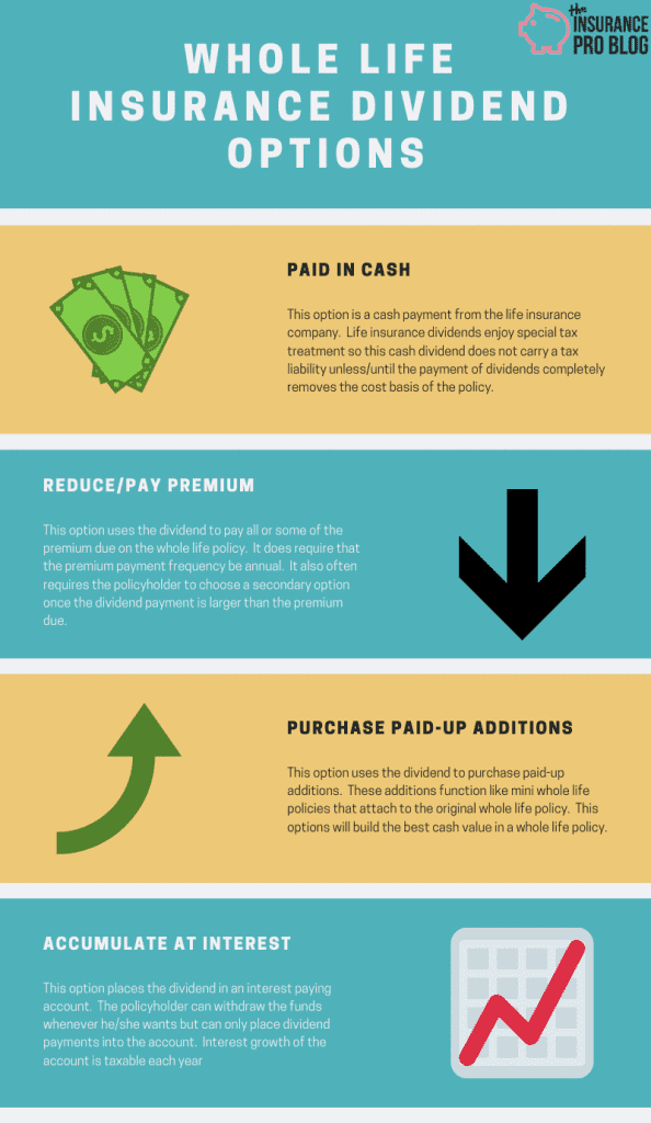 Whole Life Insurance Dividend Options