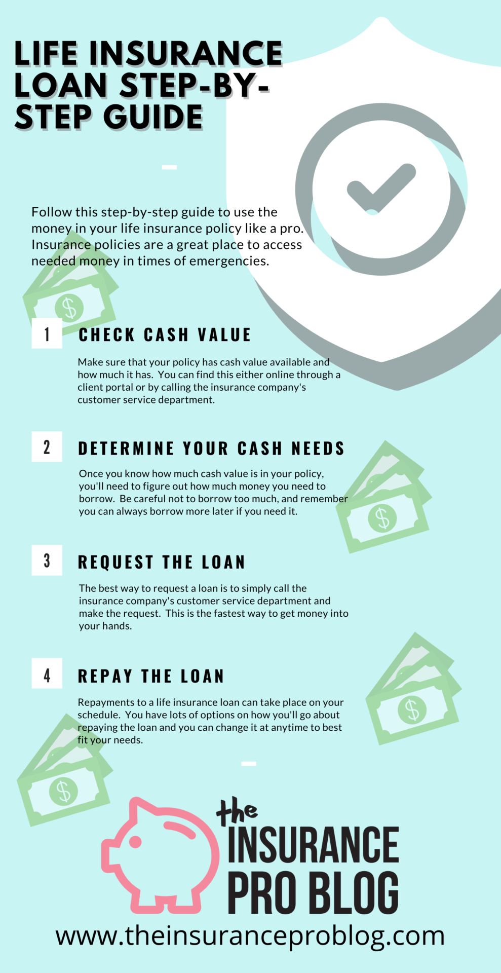 Life Insurance Loan Infographic