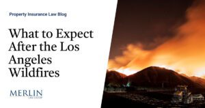 What to Expect After the Los Angeles Wildfires