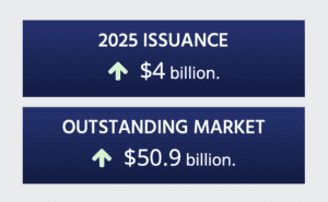 2025 catastrophe bond market record size