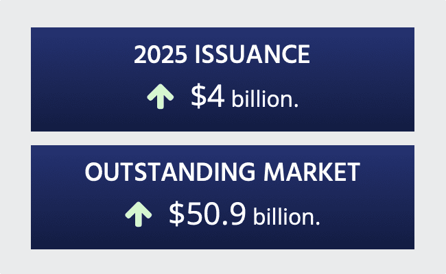 2025 catastrophe bond market record size