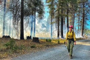 A female firefighter is walking on a road with a forest, hazy with smoke highlighted by afternoon sun, behind her.